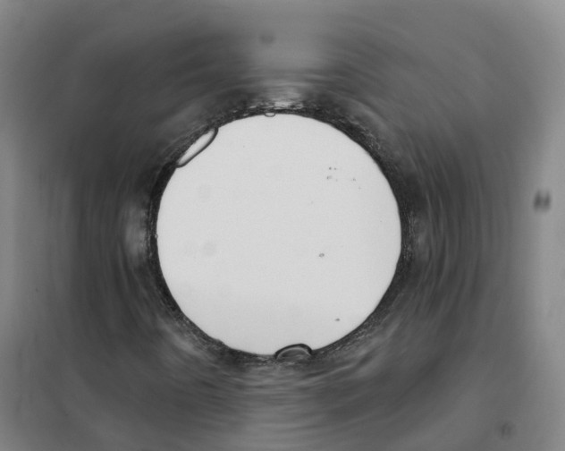 X0000101421442200808041117