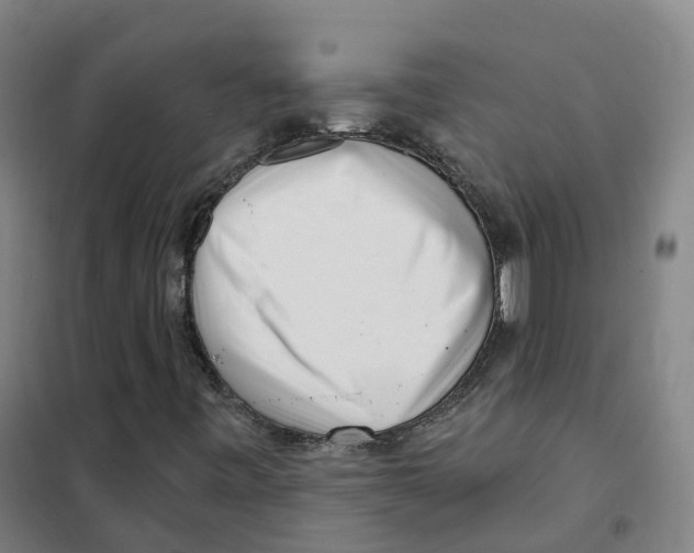 X0000101421443200808041117