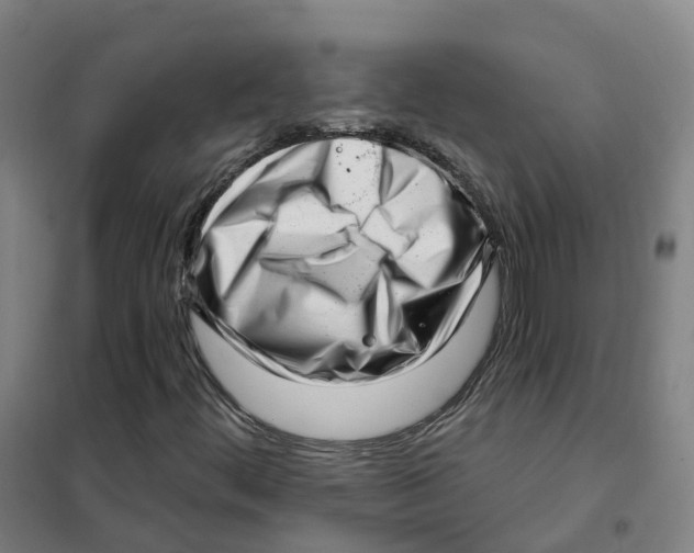 X0000101421444200808041117