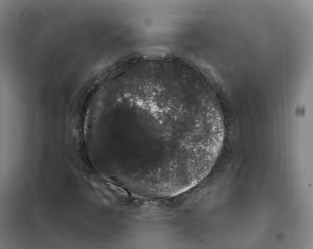 X0000101421445200808041117