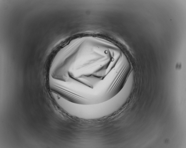 X0000101421448200808041117