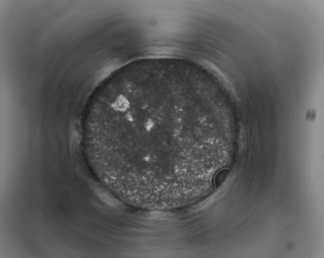 X0000101421449200808041117