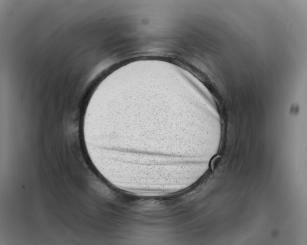 X0000101421450200808041117