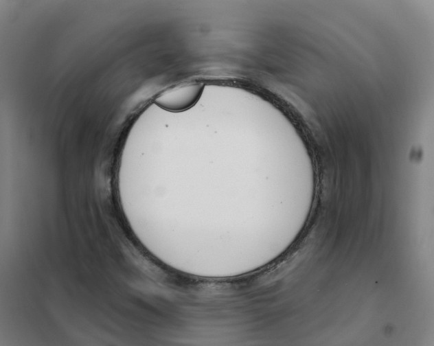 X0000101421451200808041117