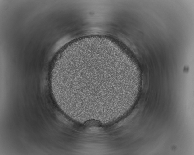 X0000101421453200808041117
