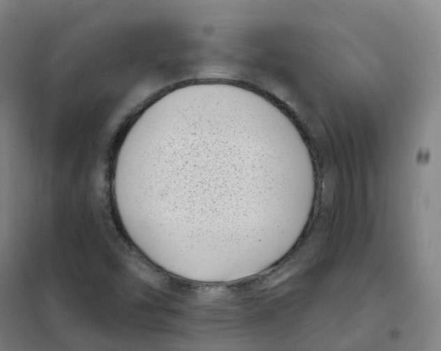 X0000101421454200808041117