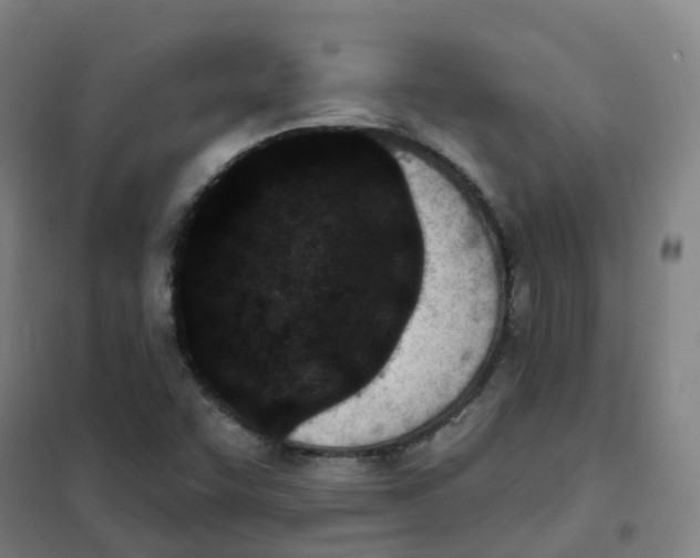 X0000101421455200808041117