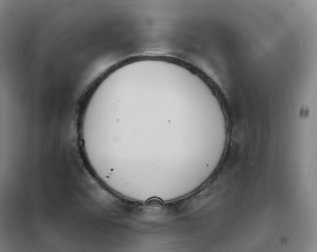 X0000101421456200808041117