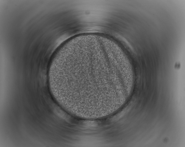 X0000101421457200808041117