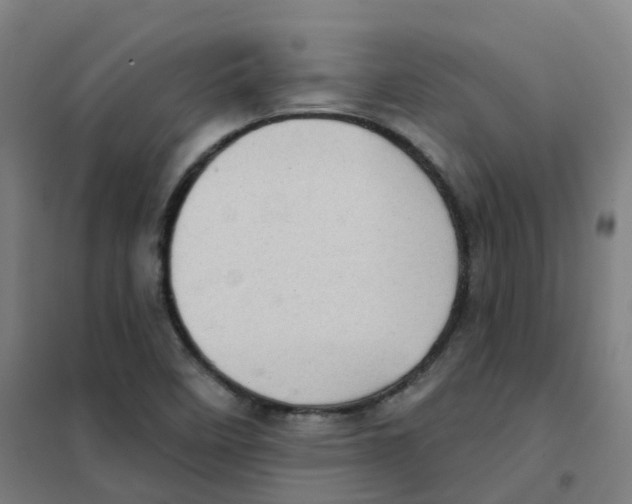 X0000101421458200808041117