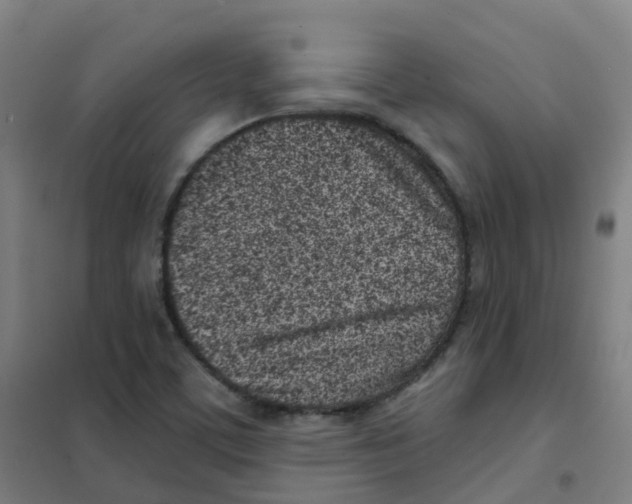 X0000101421459200808041117