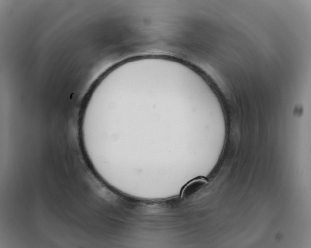 X0000101421460200808041117