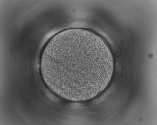 X0000101421461200808041117