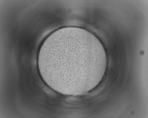 X0000101421462200808041117
