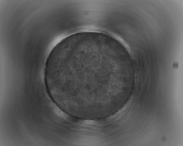 X0000101421463200808041117