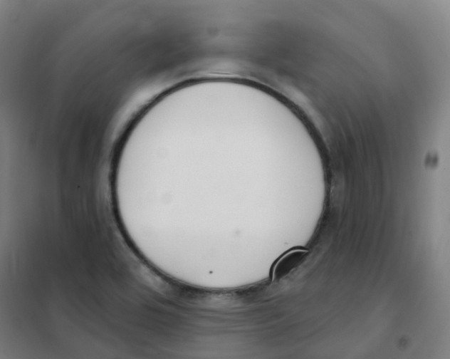 X0000101421464200808041117