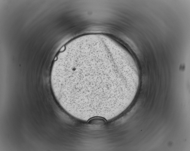 X0000101421465200808041117