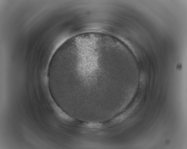 X0000101421466200808041117