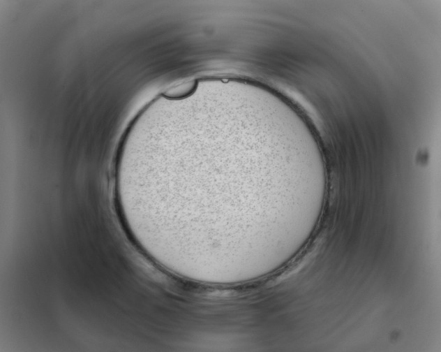 X0000101421467200808041117
