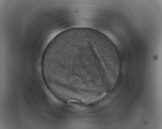 X0000101421468200808041117