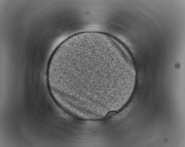X0000101421469200808041117