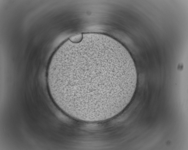 X0000101421470200808041117