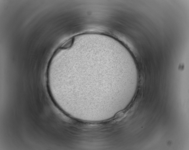 X0000101421471200808041116