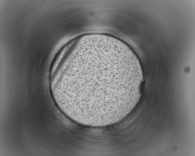 X0000101421472200808041116