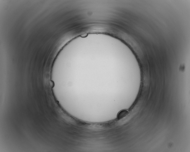 X0000101421473200808041116