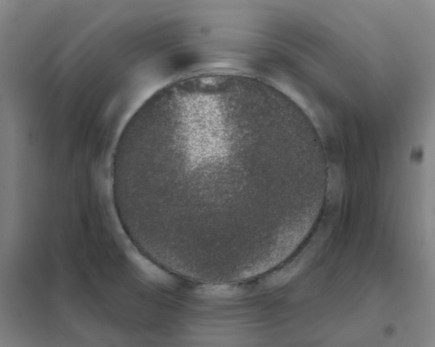 X0000101421474200808041116