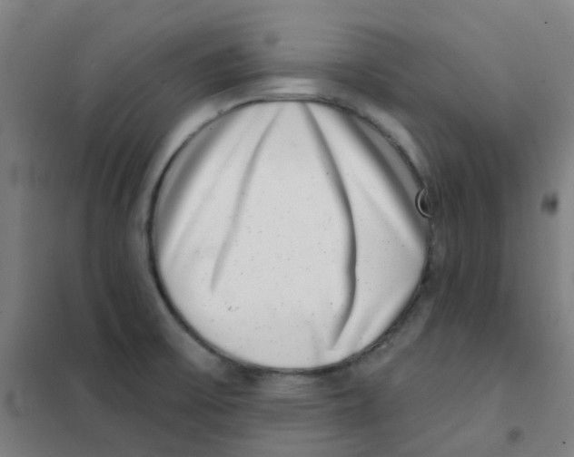 X0000101421475200808041116