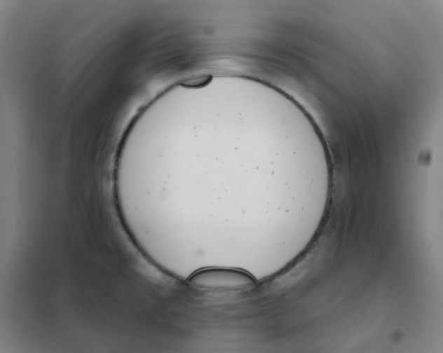 X0000101421477200808041116