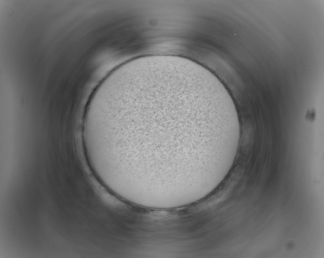 X0000101421478200808041116