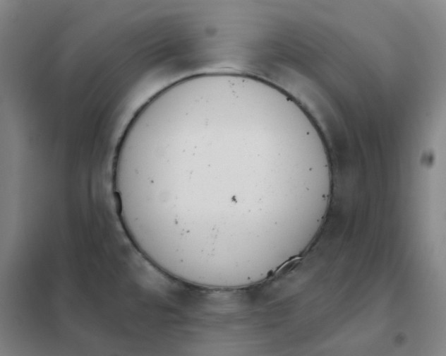 X0000101421480200808041116