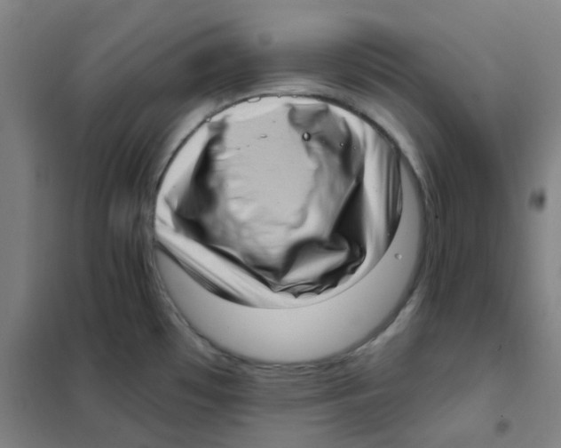X0000101421481200808041116