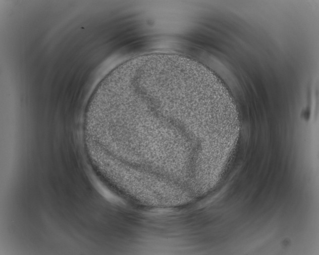 X0000101421482200808041116