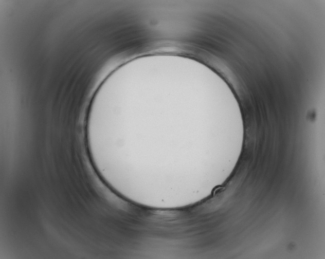 X0000101421483200808041116