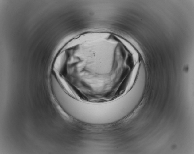 X0000101421485200808041116