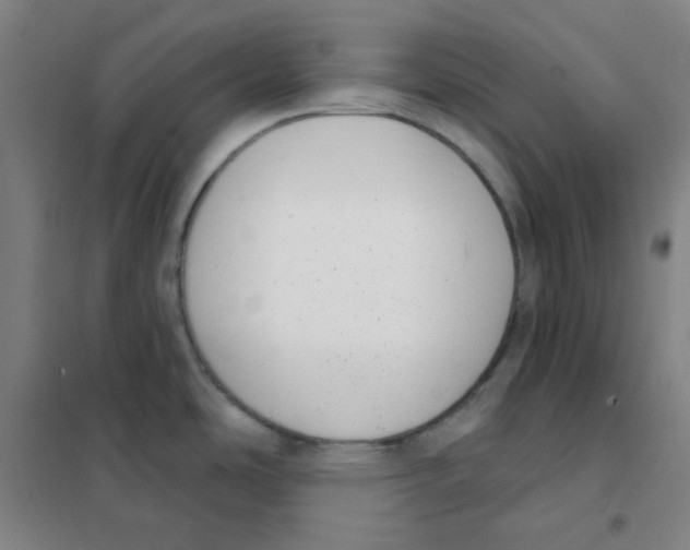X0000101421486200808041116