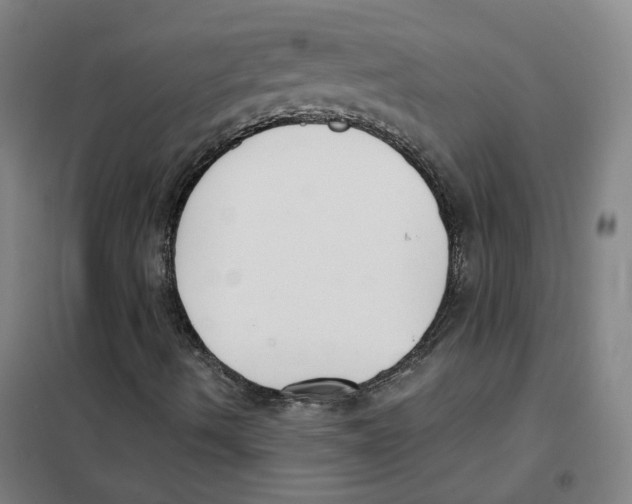 X0000101421490200808041115