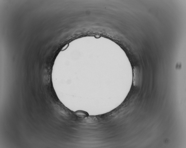 X0000101421491200808041115