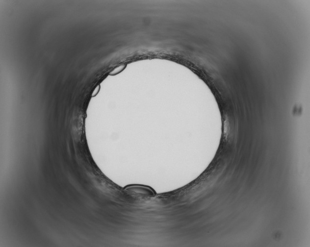 X0000101421492200808041115