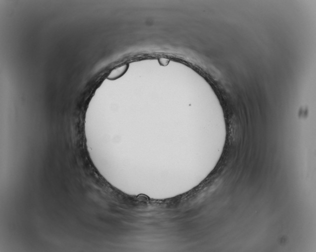 X0000101421494200808041115