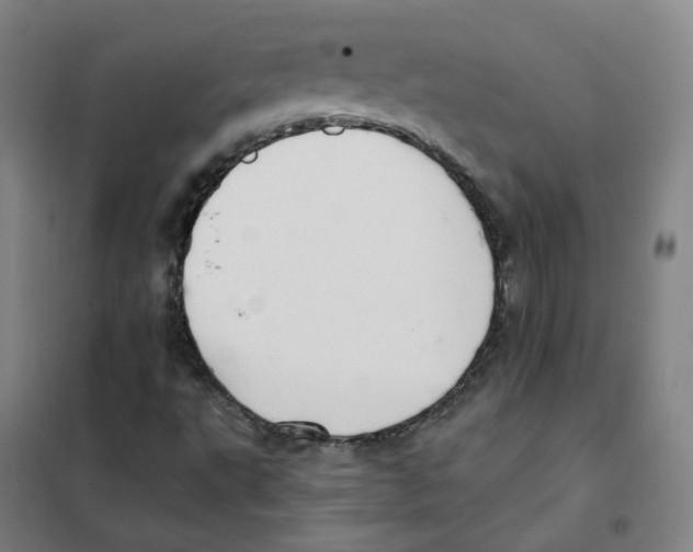 X0000101421495200808041115