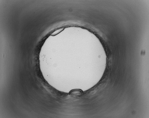 X0000101421496200808041115
