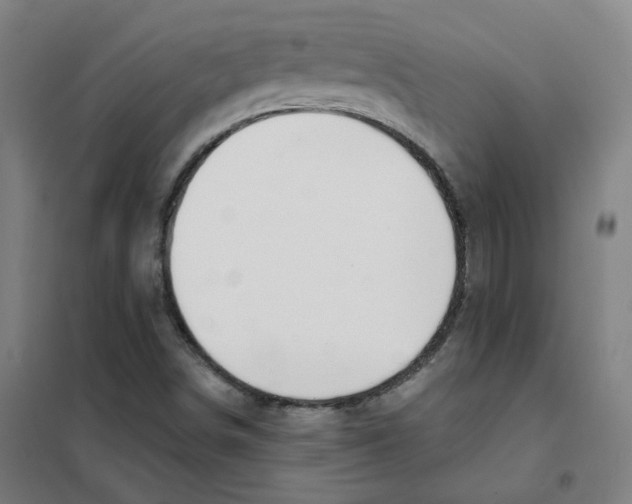 X0000101421498200808041115