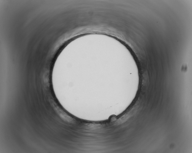 X0000101421499200808041115