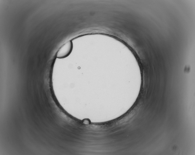 X0000101421500200808041115