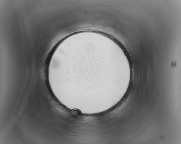 X0000101421501200808041115