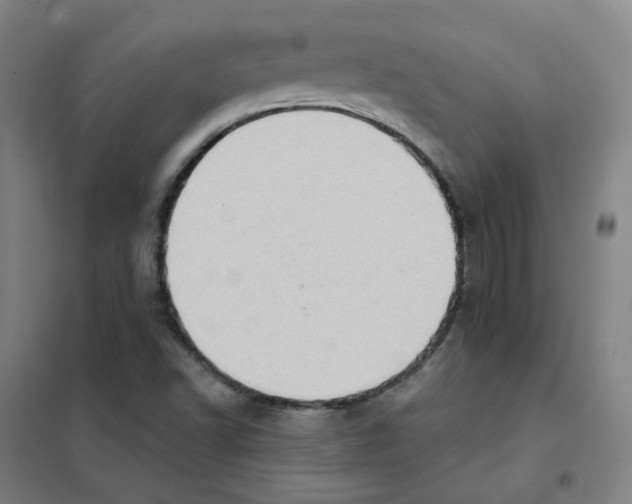 X0000101421502200808041115